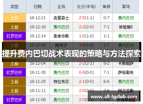 提升费内巴切战术表现的策略与方法探索