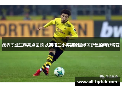 桑乔职业生涯亮点回顾 从英格兰小将到德国绿茵新星的精彩蜕变