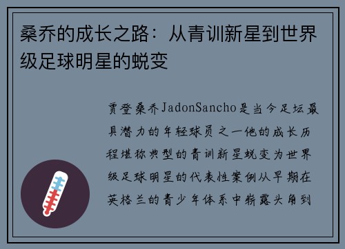 桑乔的成长之路：从青训新星到世界级足球明星的蜕变